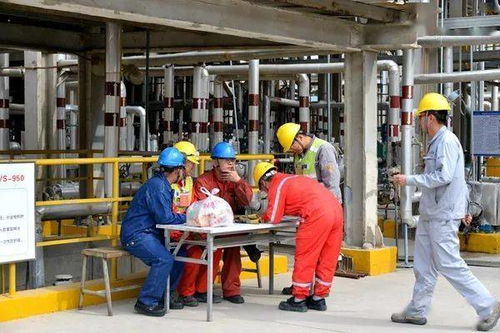 園區管理 美克化工檢修 百景圖